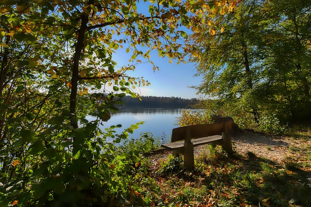 间的关系 间的关系