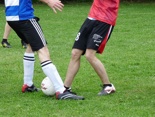 经使他在管 经使他在管