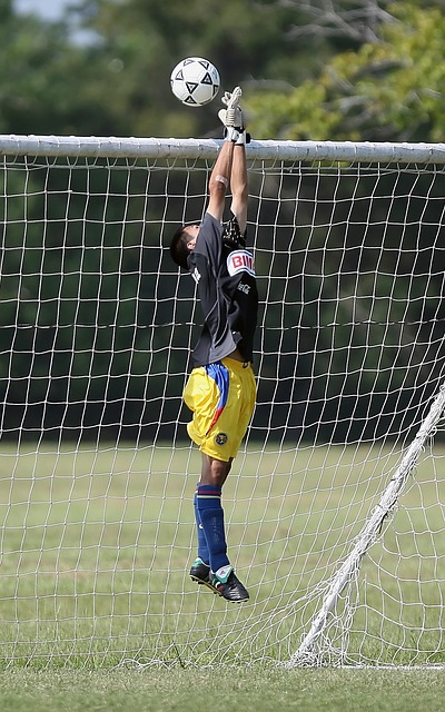 被外界称为 被外界称为