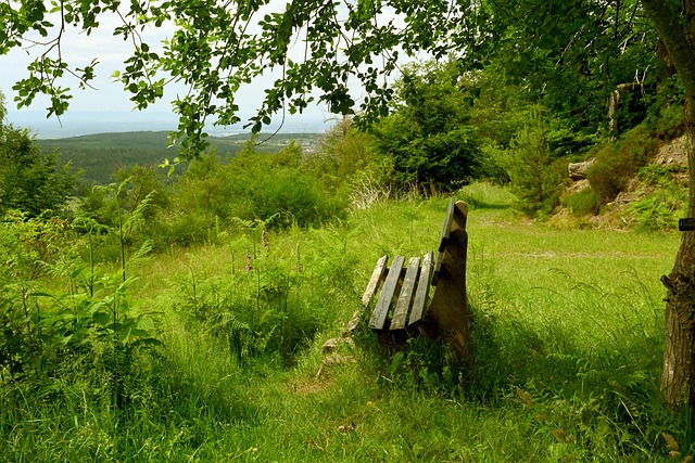 一场备受瞩 一场备受瞩